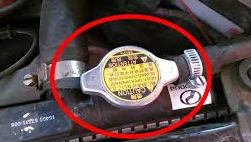 Radiator Flush Fill Cap for changing automotive coolant